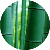 ন্যান্টং তিয়ানহং টেক্সটাইল টেকনোলজি কোং, লিমিটেড