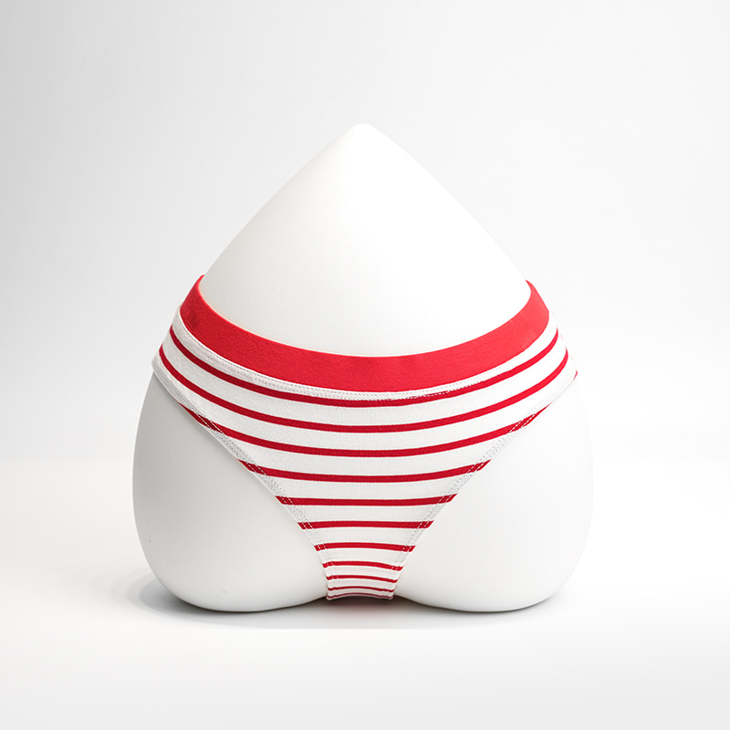 মহিলাদের স্ট্রাইপ ব্রিফস