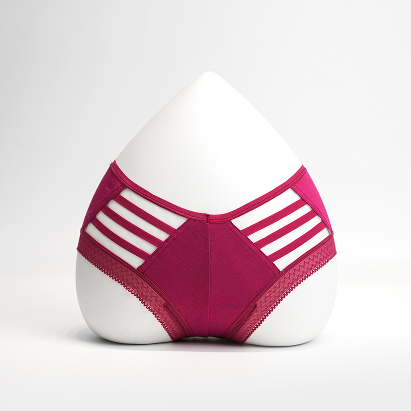 মহিলার সেক্সি ব্রিফস