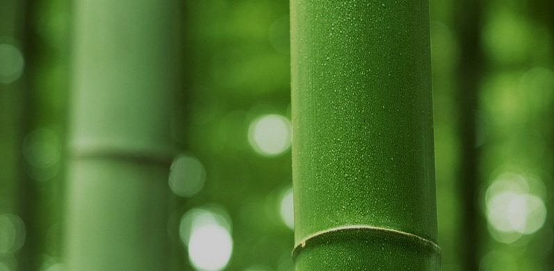 ন্যান্টং তিয়ানহং টেক্সটাইল টেকনোলজি কোং, লিমিটেড